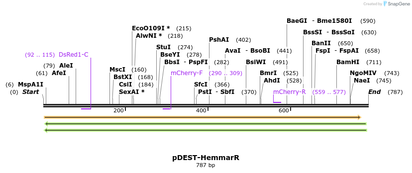 64693_map