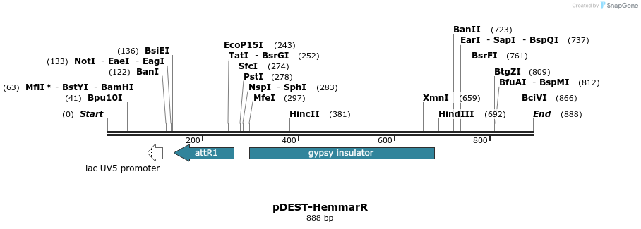 64695_map