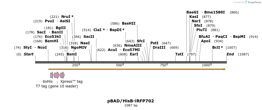 64699_map