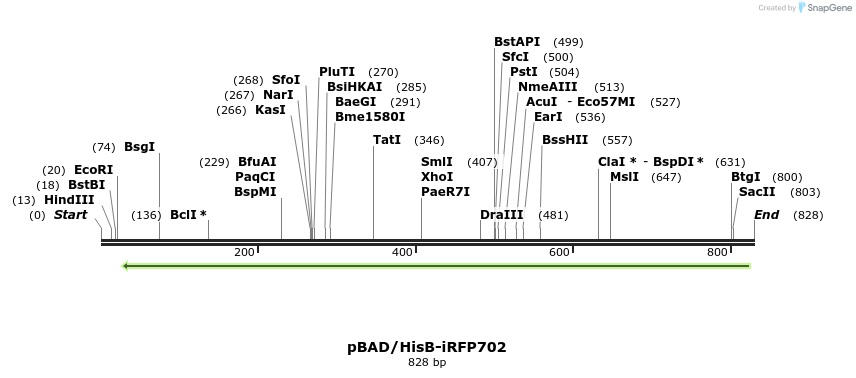 64703_map