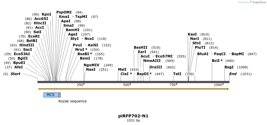 64705_map