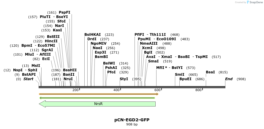 64716_map