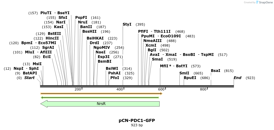 64720_map