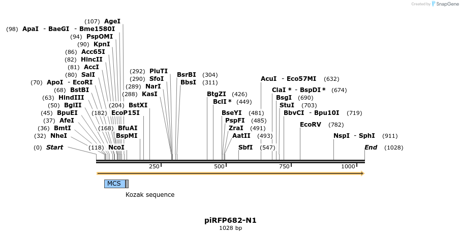 64723_map