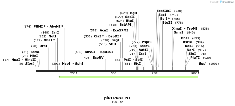 64726_map