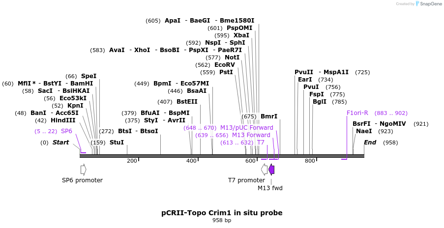 64740_map