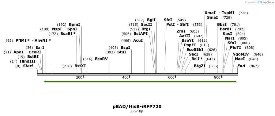 64747_map