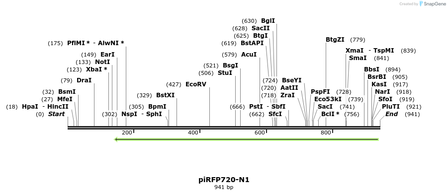 64765_map