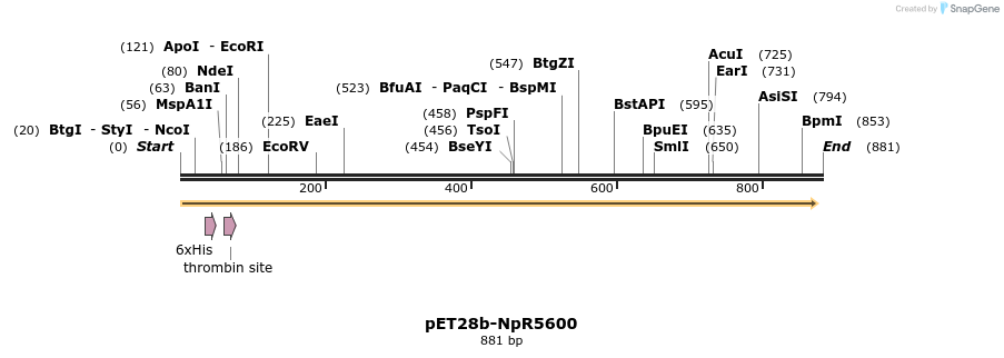 64775_map
