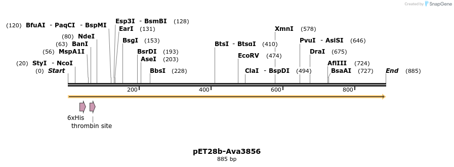 64776_map