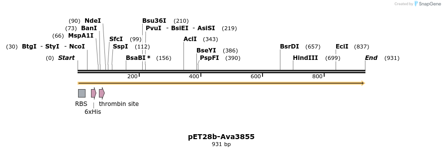 64777_map