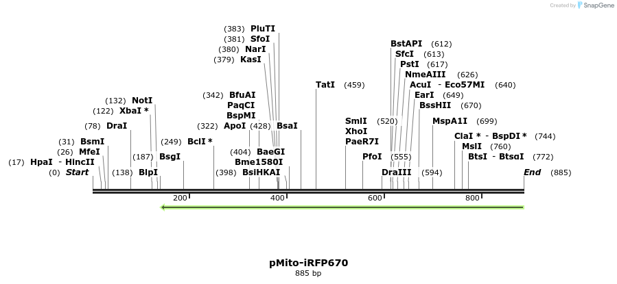 64779_map