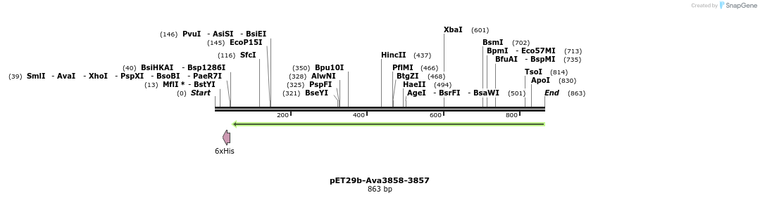 64781_map