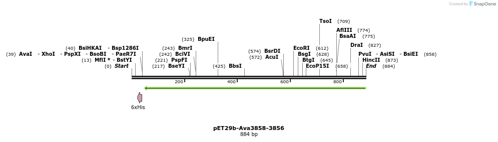 64782_map