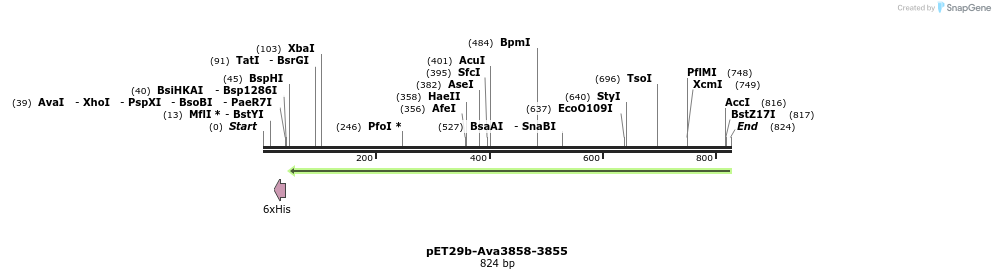 64783_map