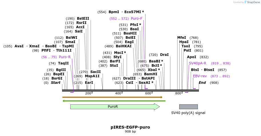 64790_map