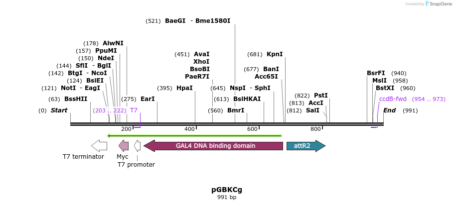 64795_map