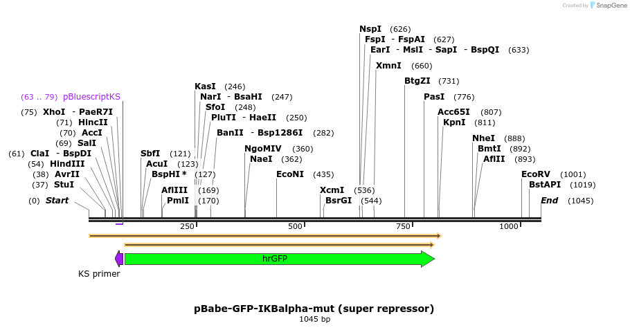 64804_map