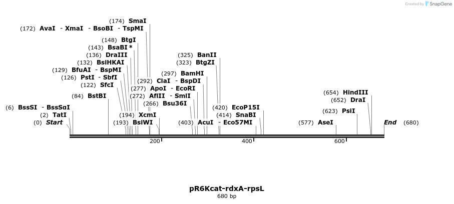 64808_map