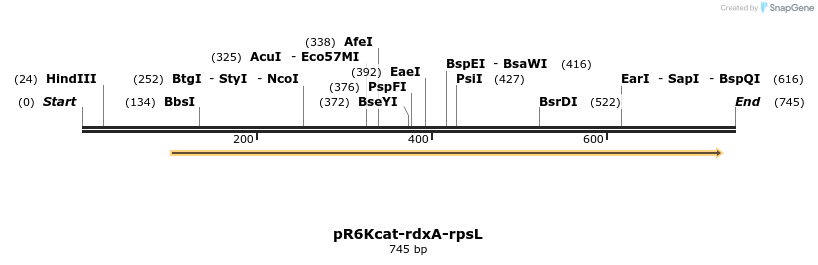 64811_map