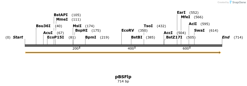 64818_map