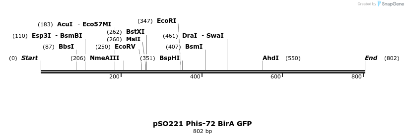 64819_map