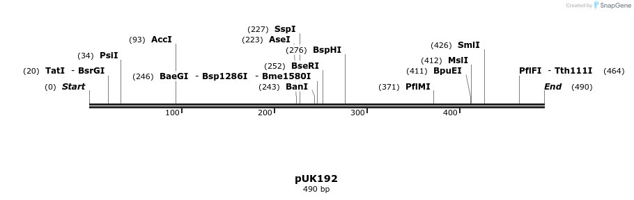 64826_map