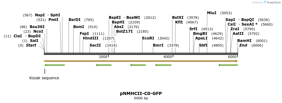 64827_map