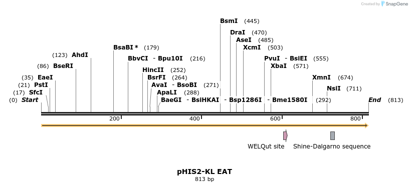 64831_map