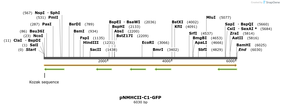 64832_map