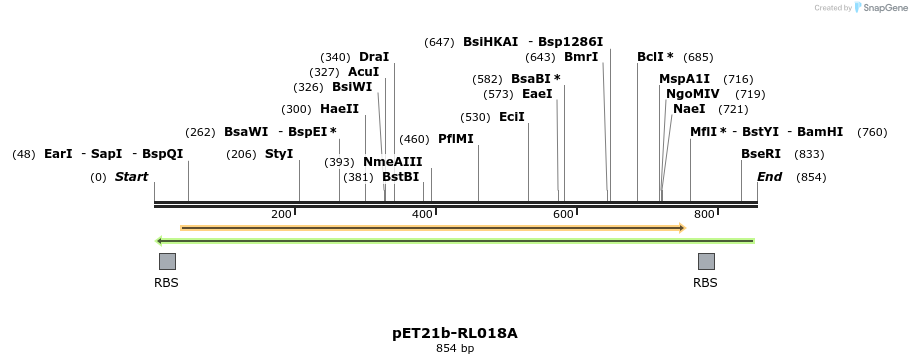 64837_map