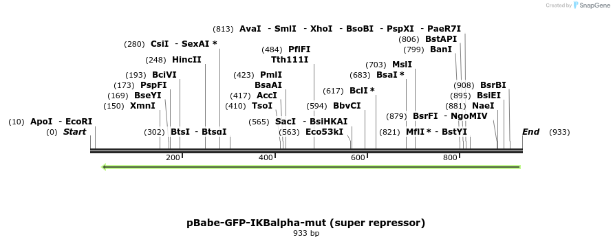 64841_map