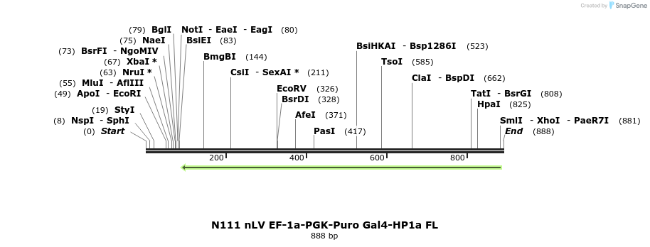 64856_map