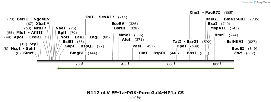 64858_map