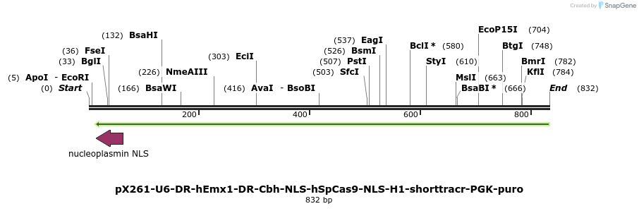 64863_map