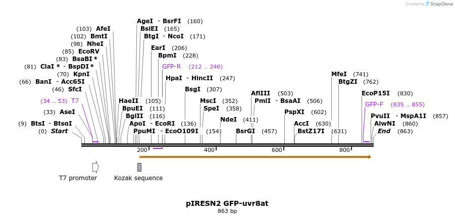 64867_map