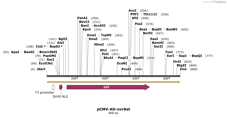 64909_map