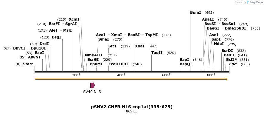 64910_map