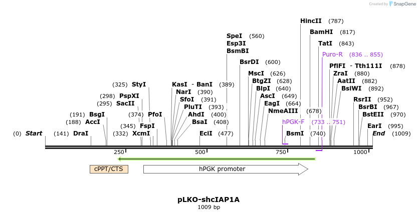 64914_map