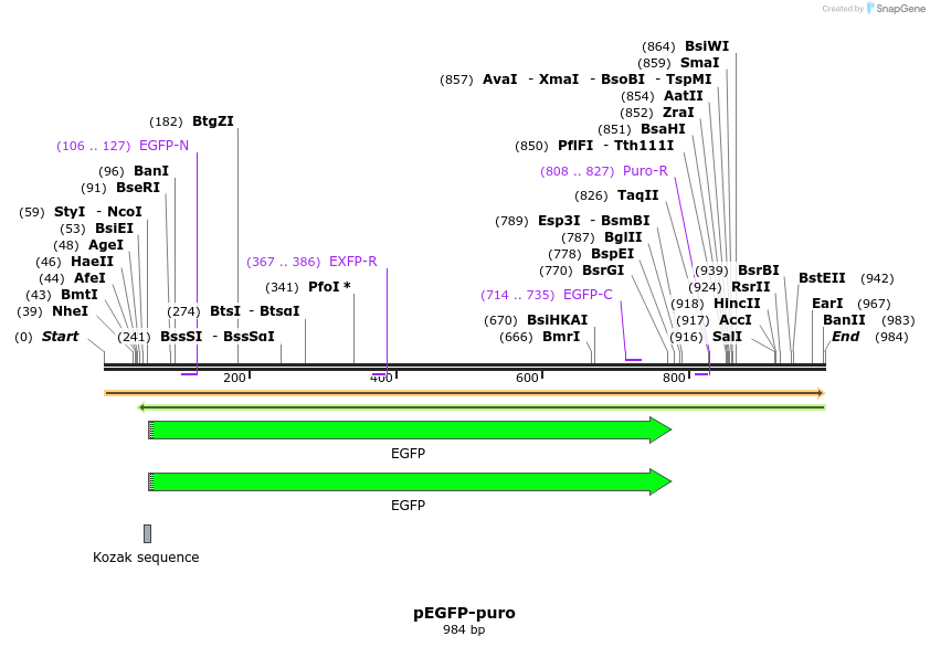 64927_map