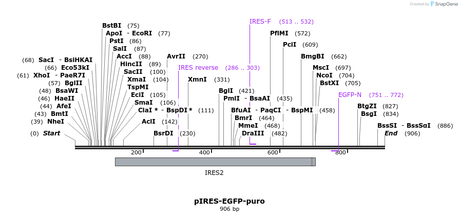 64930_map