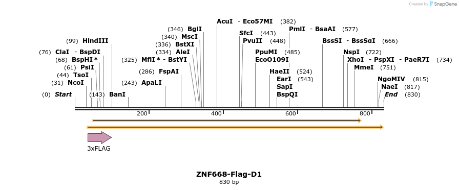 64931_map