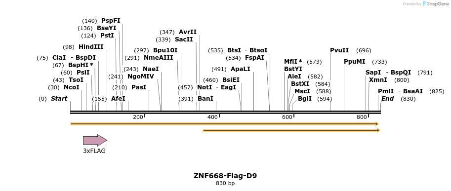 64940_map
