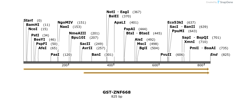 64942_map