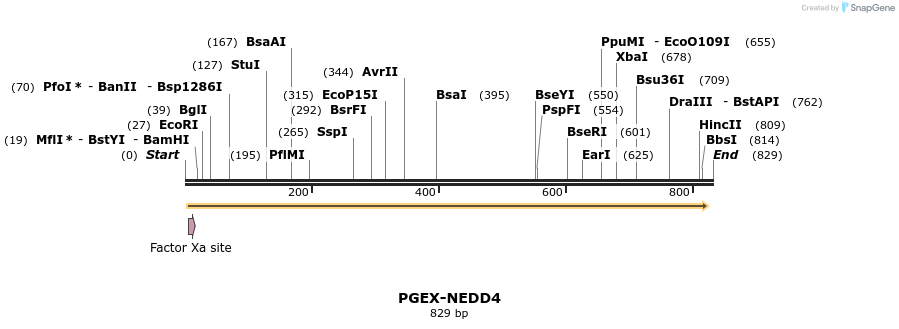 64943_map