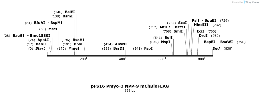 64948_map