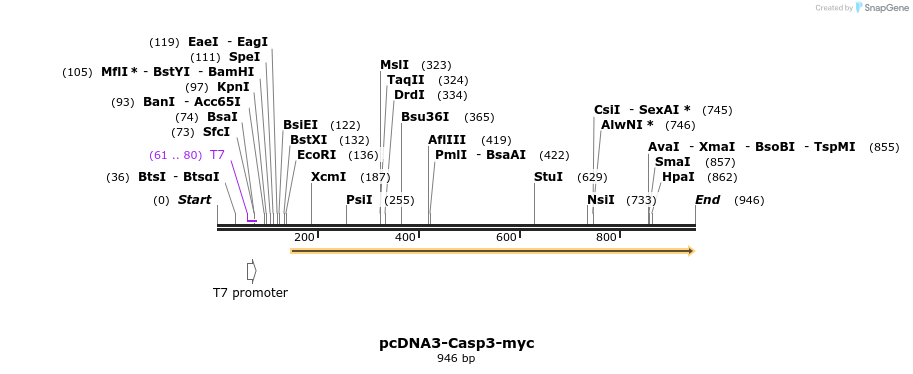 64957_map