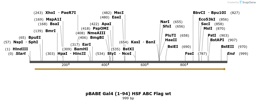 64964_map
