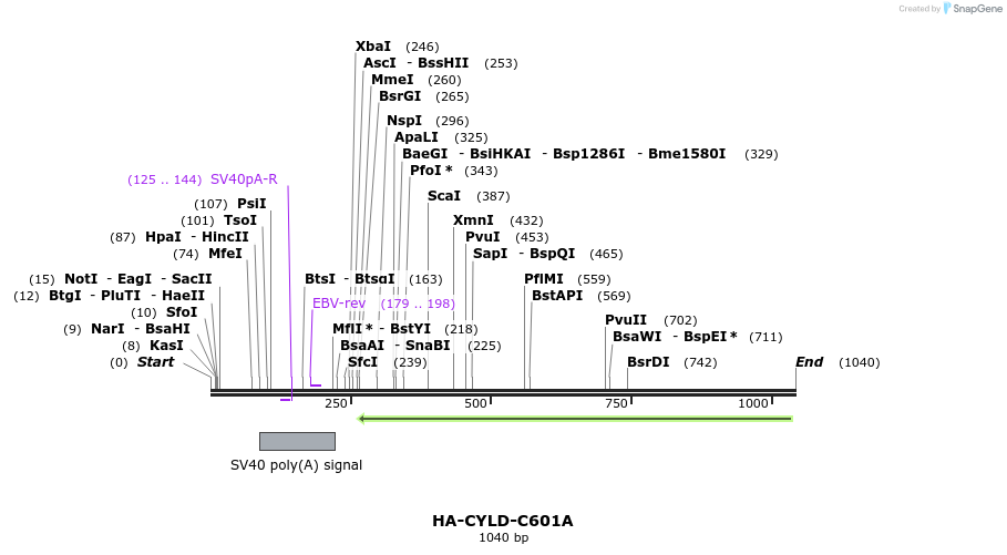 64967_map