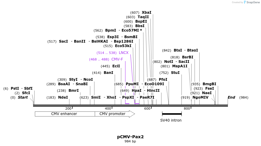 64970_map